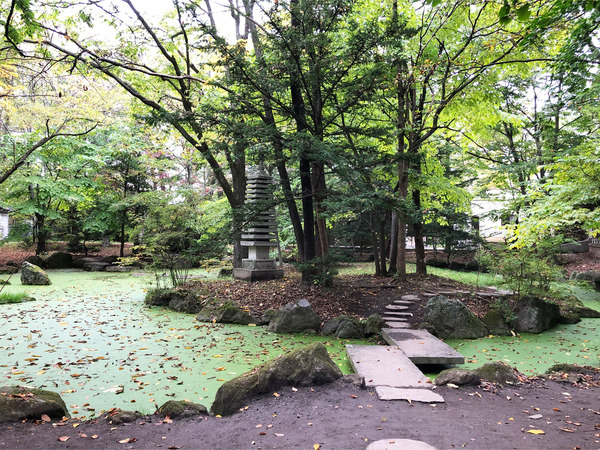 07浮き草で覆われた通称「緑の池」