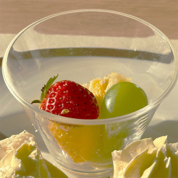 17セミバイキング7