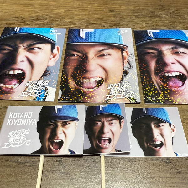 13リアルトレカ&爪楊枝フラッグ