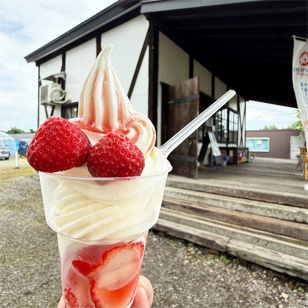 02いちごのソフトクリーム(500円)