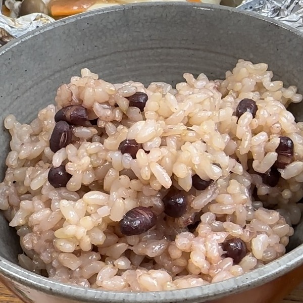 11発酵玄米(ななつぼし)