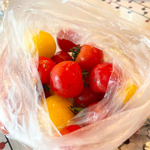 17お土産のプチぷよ♪