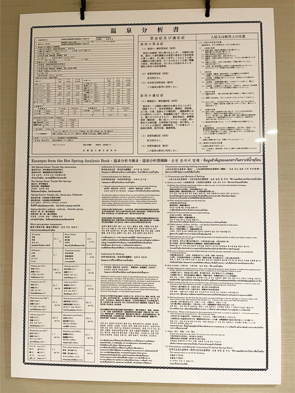 29温泉分析書