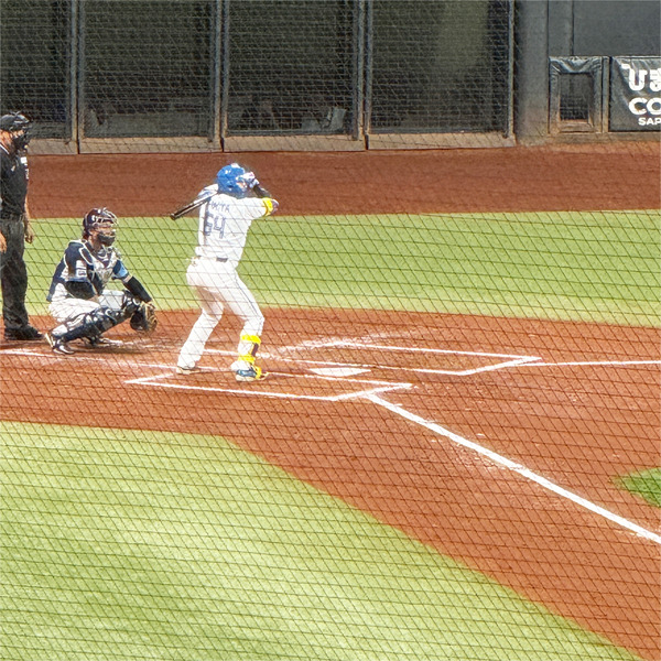 02_推し活(#64田宮裕涼選手)