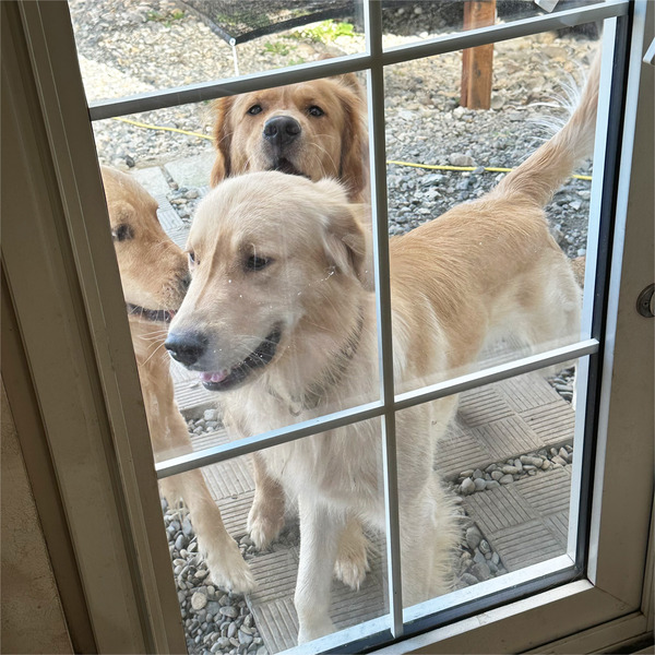 11渋滞してます