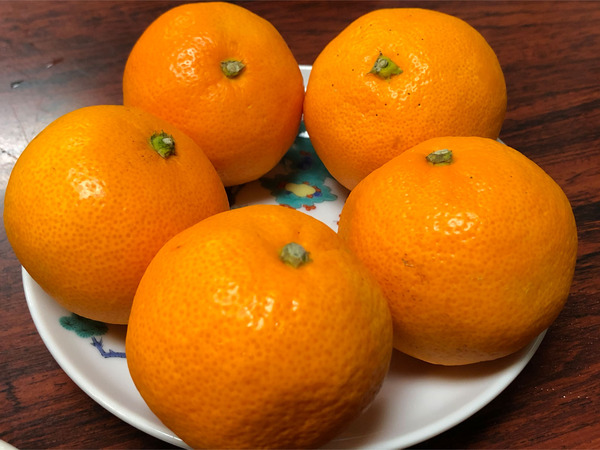 07食後のデザート