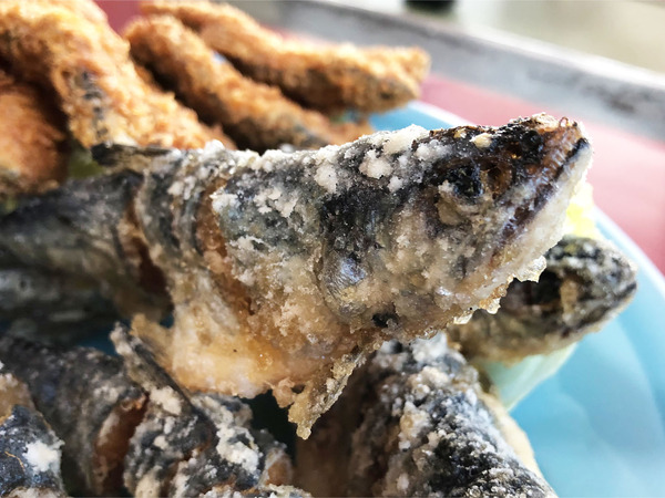 07頭から尻尾まで全部頂けます