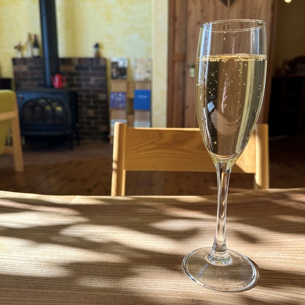 01有機コーディアル(エルダーフラワーのソーダ割)