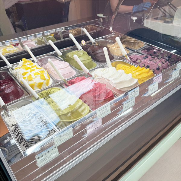 04ジェラートのショーケース