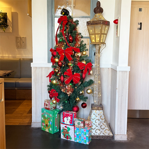 15クリスマスツリー