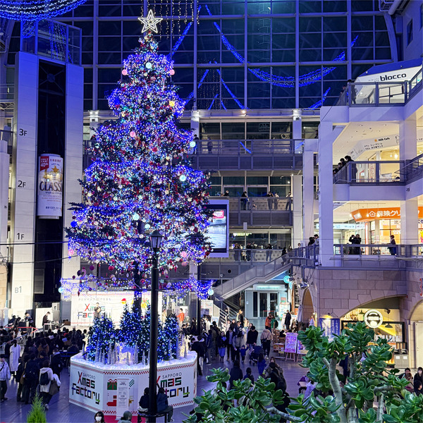 サッポロファクトリー・クリスマスツリー2
