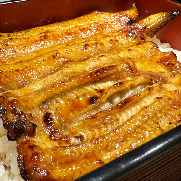 05いい照りです