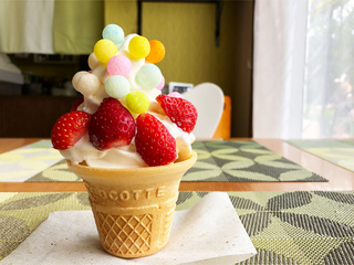e51630a6.jpg