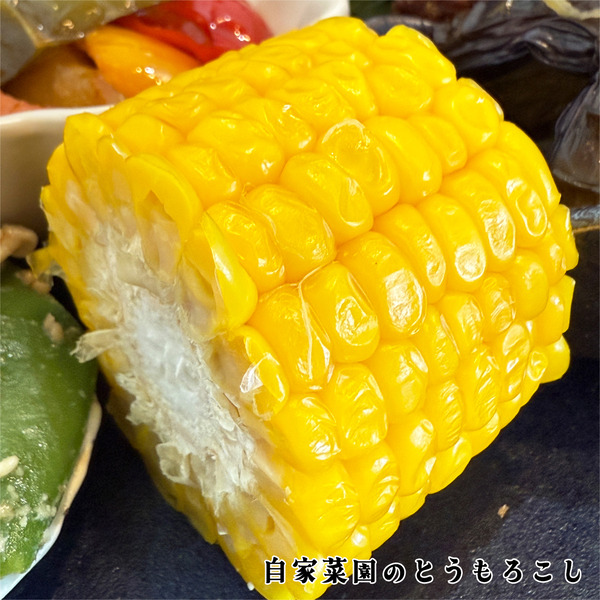 14自家菜園のとうもろこし