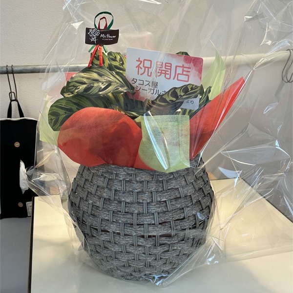 14開店祝い(シーガルキッチン)