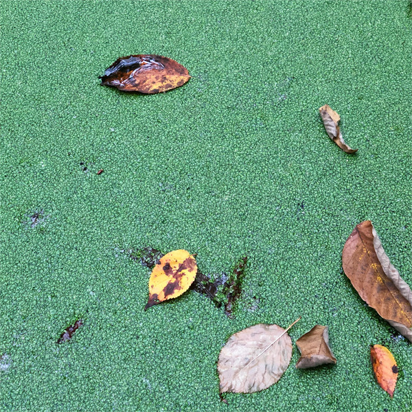 09面白いですね~