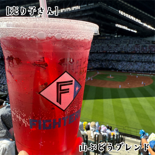 26山ぶどうブレンド(380円)