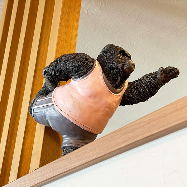 11エクササイズゴリラ