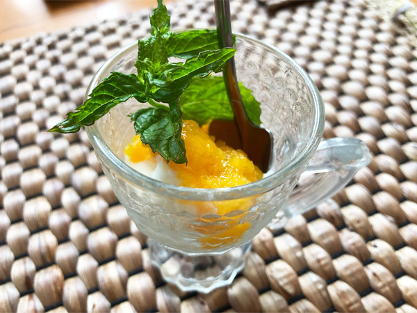 11音更産の濃厚マンゴーアイス