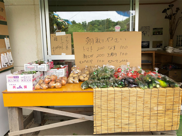 17朝取り野菜も売ってます