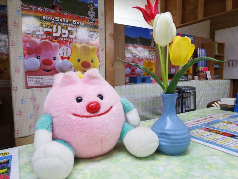 チューピット チューリップ ぬいぐるみ 上湧別町 チューピット チューリップ ぬいぐるみ 上湧別町