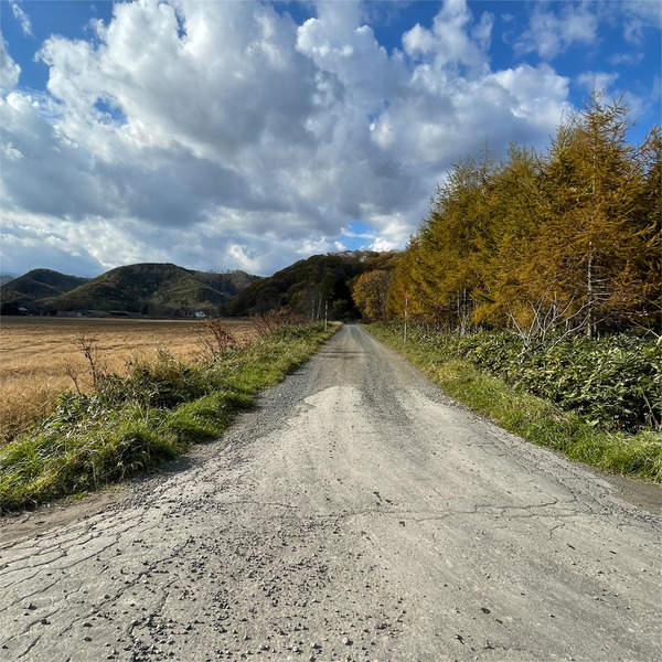 14砂利道の奥の奥です