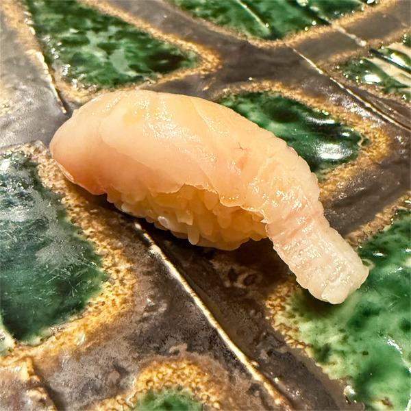 25鰆(サワラ)