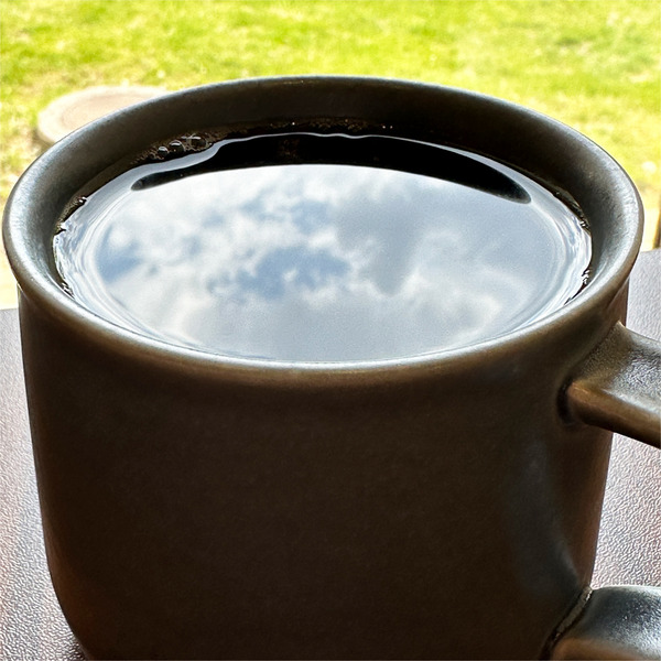 02ほんとになみなみでした