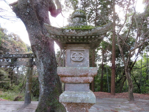 03