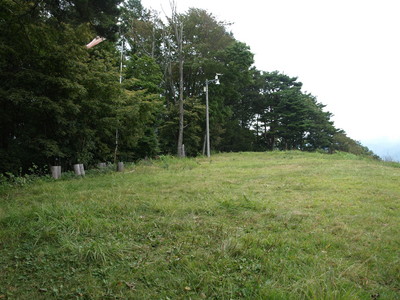 P9151356