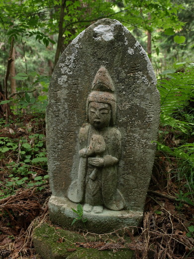 P6020462