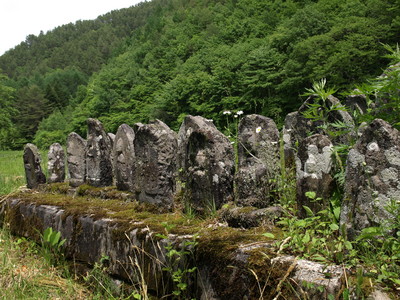 P6170501