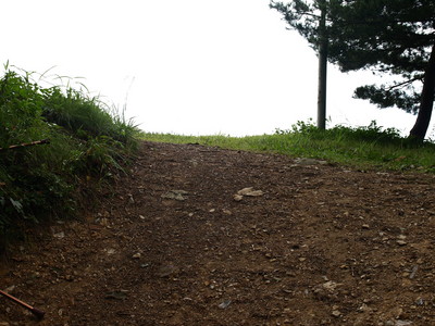 P9151387