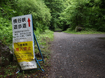 P6300605