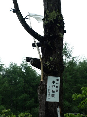 P6300573