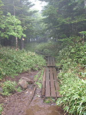 P6300586