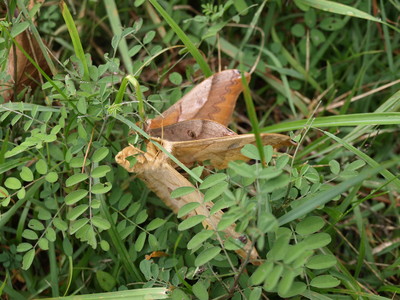 P9151379