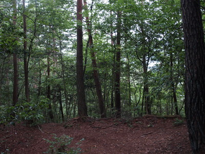 P9151354