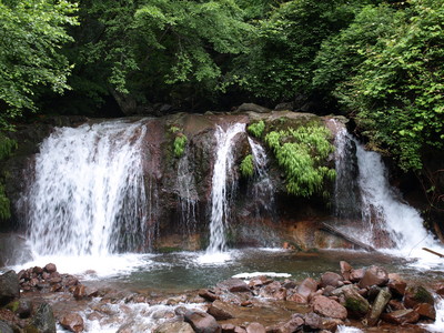 P6300607