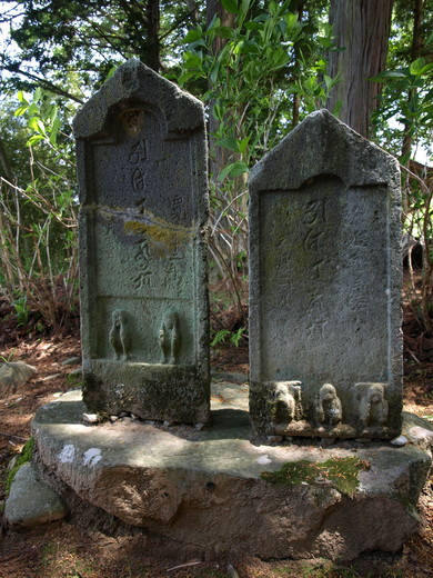 P6020421