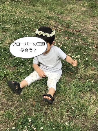 20190529クローバー王冠02