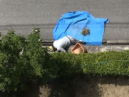 20190527アジ南蛮漬け01