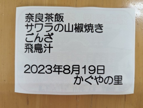 PXL_20230819_023904189