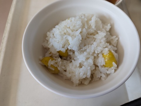 PXL_20231026_024020532