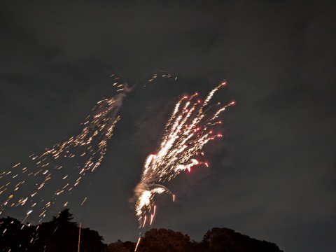 PXL_20240929_101341485.NIGHT