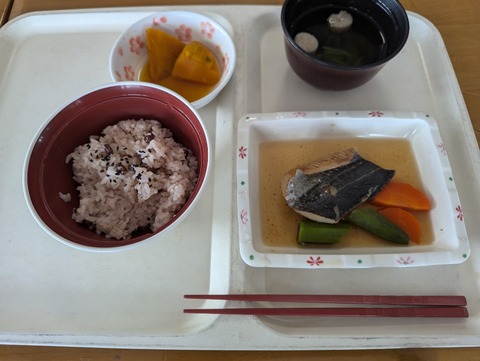 PXL_20250401_030405837