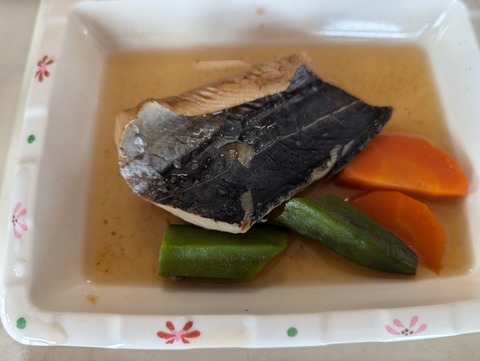 PXL_20250401_030410111