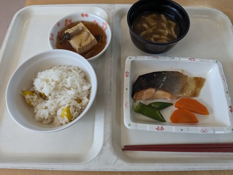 PXL_20231026_023938838