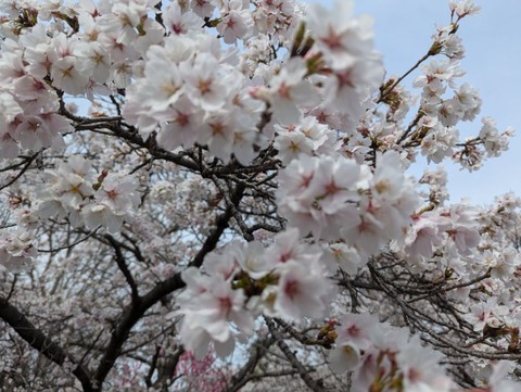 PXL_20250405_053545945