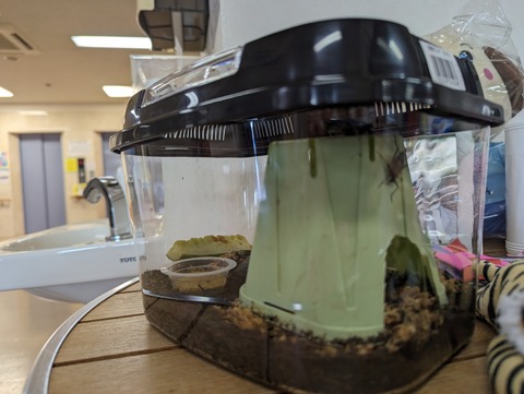 PXL_20230812_071654631